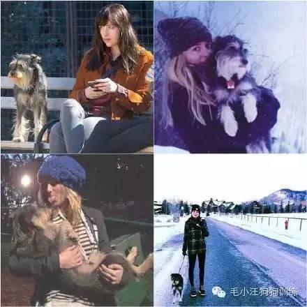 告訴我，是不是女生養了寵物都會變這樣