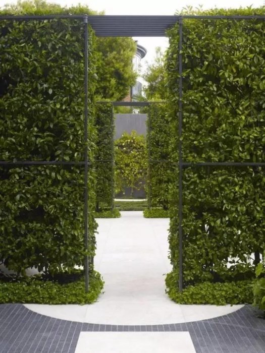 這才是真正的牆藝術！