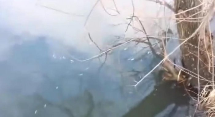 男子用手榴彈炸魚，這收穫太讓人意外了！