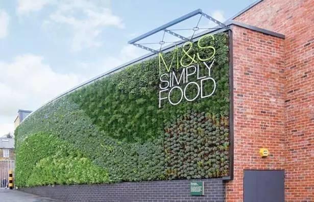 這才是真正的牆藝術！