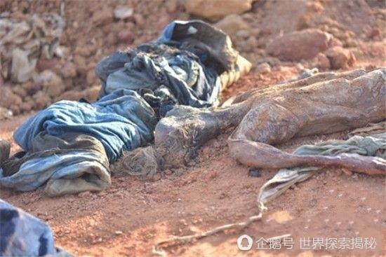 男子工地棺材內挖出古裝女乾屍，專家鑒定後道出真相