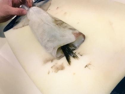 他買墨魚回家覺得不對勁，切開後才發現裡面藏了東西