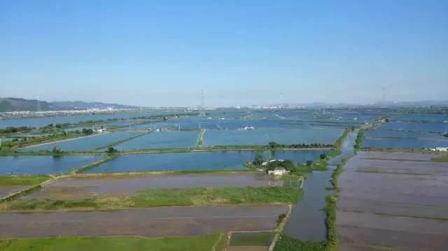 一老闆挖個魚塘，讓用戶免費釣魚，結果大家都驚呆了……