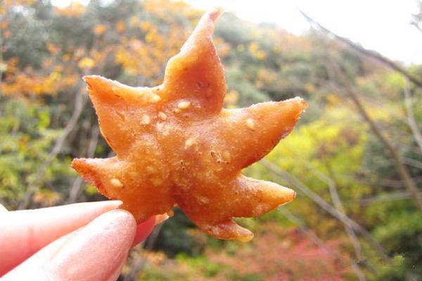 驚掉下巴!日本人為啥爭先恐後吃樹葉?