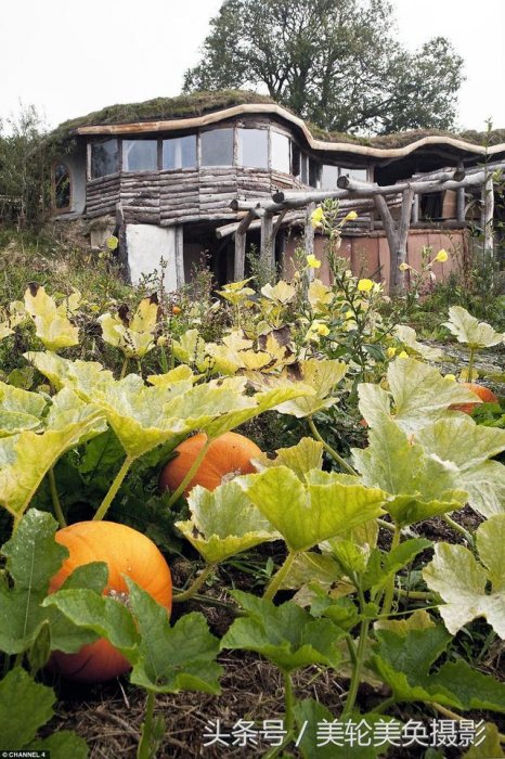 夫妻4000元啟動資金，蓋了棟20萬兩層三室「童話花園小屋」