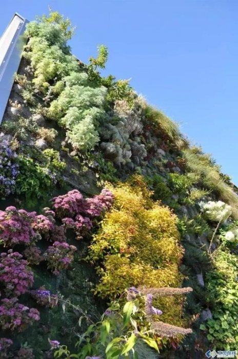 這才是真正的牆藝術！