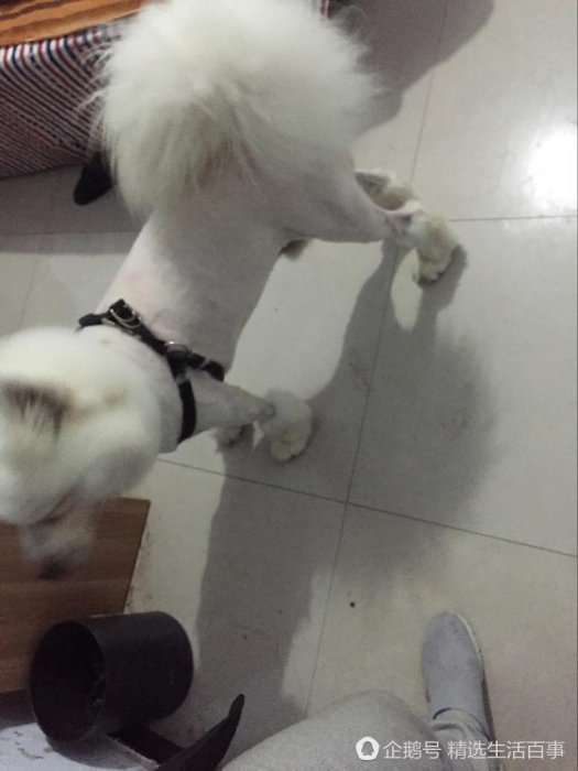 老闆是有強迫症嘛！150硬剃了3個小時！