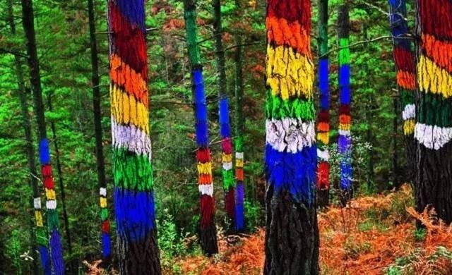 最美板鴨之秋-10個適合秋天休閑徒步的森林公園