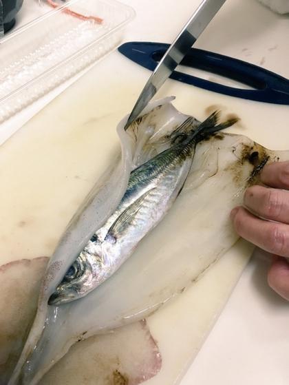 他買墨魚回家覺得不對勁，切開後才發現裡面藏了東西