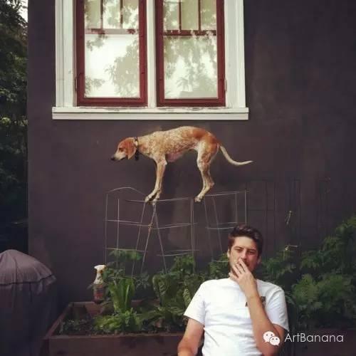 狗狗和攝影師在一起，結果當然是被玩兒壞了