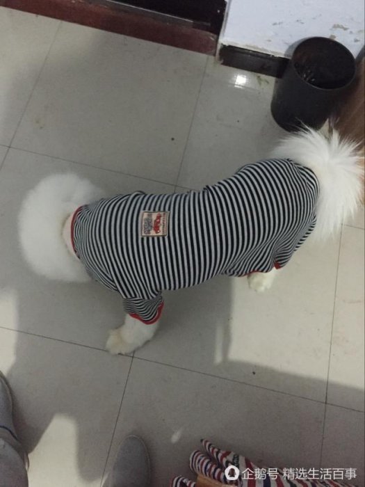 老闆是有強迫症嘛！150硬剃了3個小時！