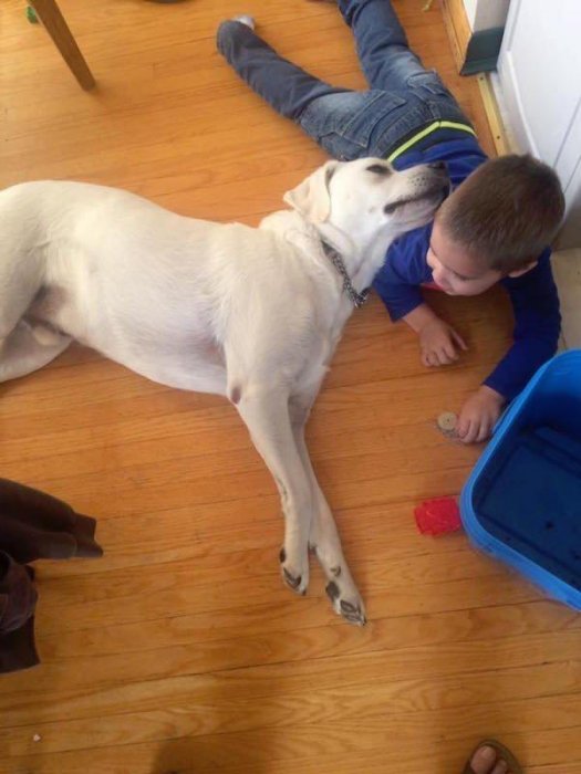 小孩患有自閉症，狗狗三年陪伴，換來小孩驚人的改變