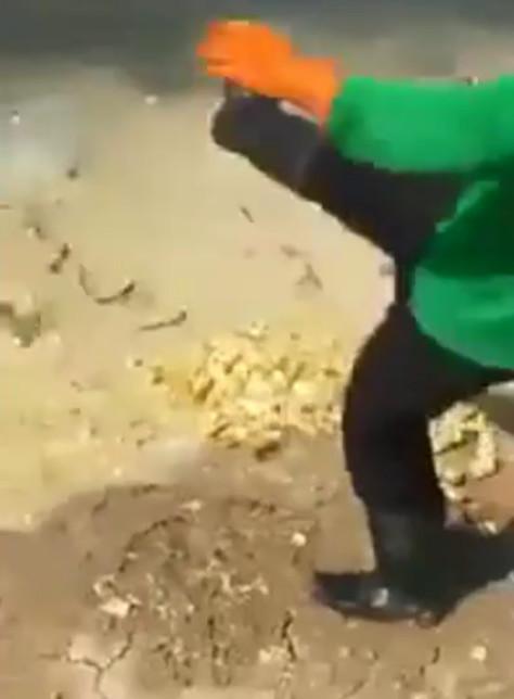 男子把剛孵出來的小雞，倒入池塘餵養怪物！