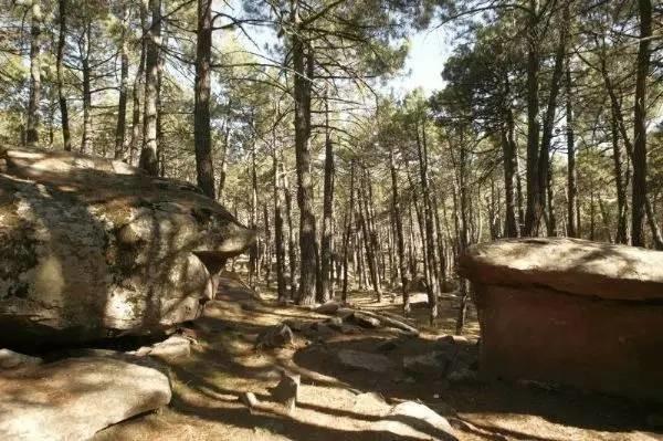 最美板鴨之秋-10個適合秋天休閑徒步的森林公園