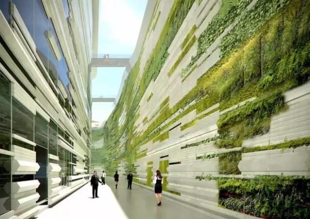 這才是真正的牆藝術！