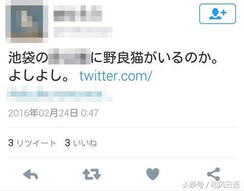 你在社交網站上發布的的一句話可能害死一隻貓!