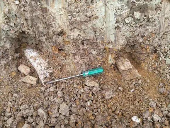 農民種地挖出了「寶貝」,引來了一群人圍觀!