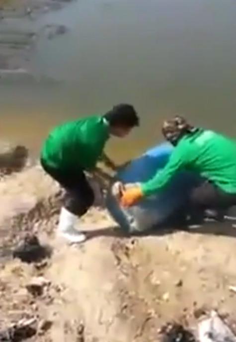 男子把剛孵出來的小雞，倒入池塘餵養怪物！