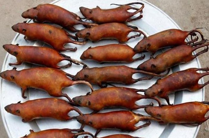 這些奇葩名吃，你吃過幾種？最後的絕啦！