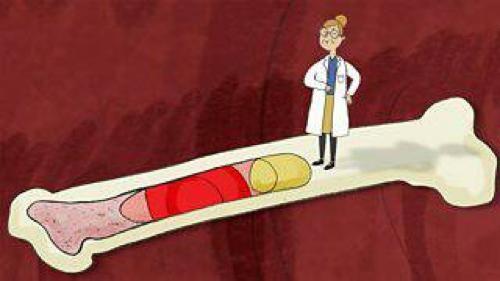 犯困怎麼搞？營養師大白教你幾個小方法立馬變精神！