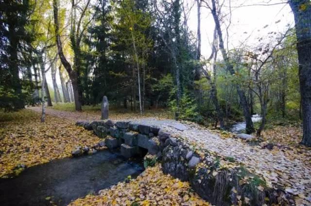 最美板鴨之秋-10個適合秋天休閑徒步的森林公園