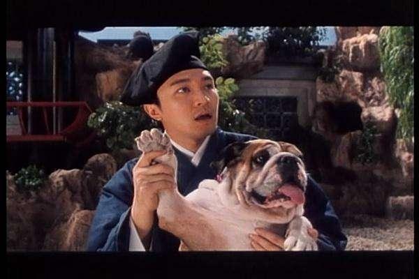 陪周星馳走過了七年，因外貌極醜被嘲，如今病逝星爺為它痛哭流涕