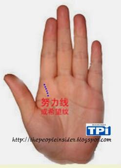 教你看手相，必看相學觀測，準的離譜,看完我傻眼了！