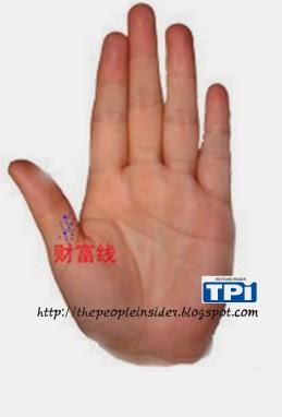 教你看手相，必看相學觀測，準的離譜,看完我傻眼了！