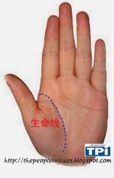 教你看手相，必看相學觀測，準的離譜,看完我傻眼了！