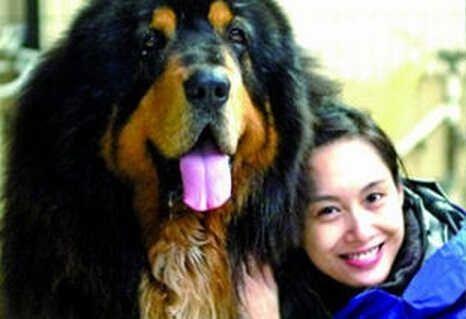 陪周星馳走過了七年，因外貌極醜被嘲，如今病逝星爺為它痛哭流涕