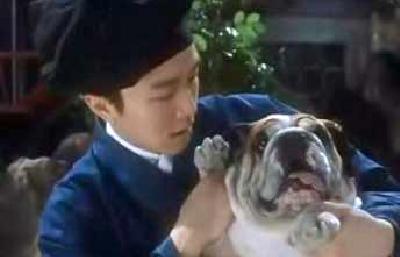 陪周星馳走過了七年，因外貌極醜被嘲，如今病逝星爺為它痛哭流涕