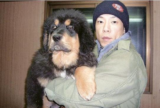 陪周星馳走過了七年，因外貌極醜被嘲，如今病逝星爺為它痛哭流涕