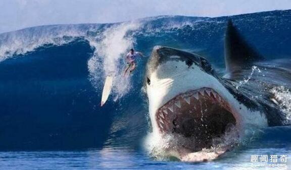 史前最強悍的十種動物 幸好它們沒有倖存到現在