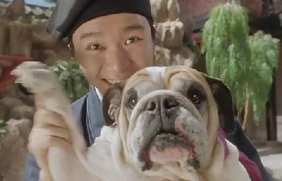 陪周星馳走過了七年，因外貌極醜被嘲，如今病逝星爺為它痛哭流涕