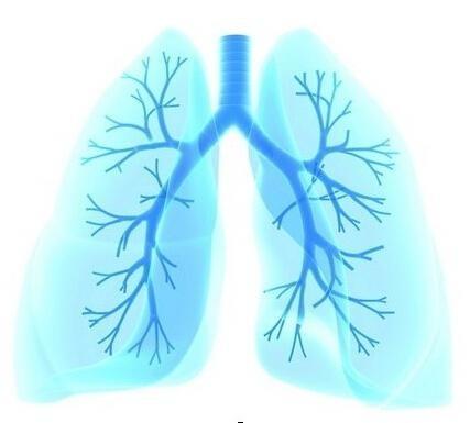 咳嗽了,這個小方為什麼流芳千古?治肺不傷肺,請君記心間!