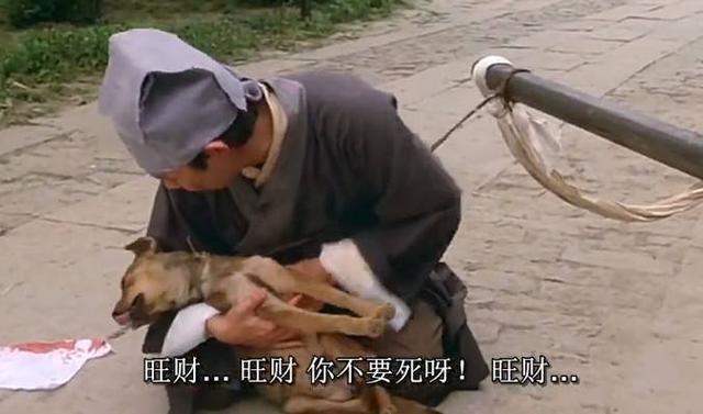 陪周星馳走過了七年，因外貌極醜被嘲，如今病逝星爺為它痛哭流涕