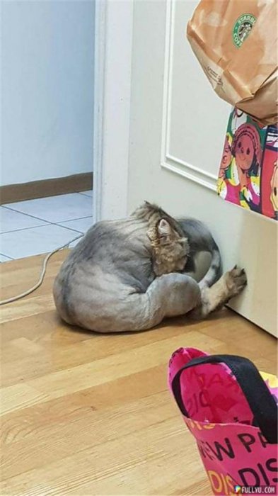 89900_副本.jpg