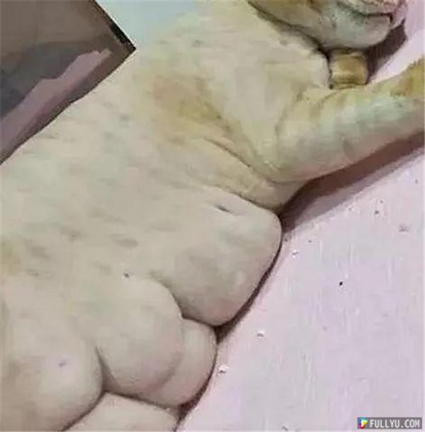 4_副本.jpg