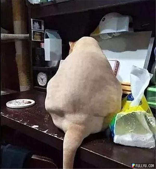 5_副本.jpg