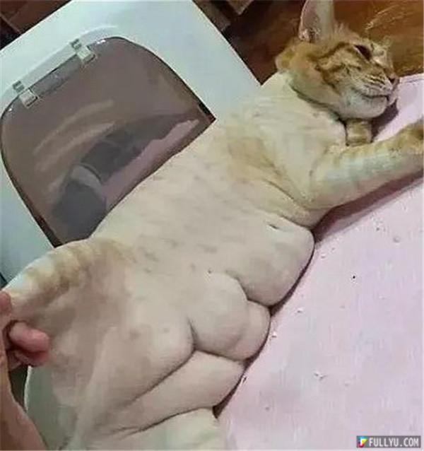 3_副本.jpg