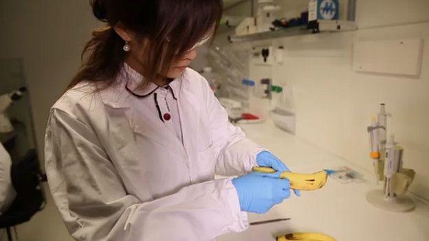 理科學霸博士好正!脫白袍變「超嫵媚肚皮舞孃」神性感.. 網跪:才貌雙全真女神是妳
