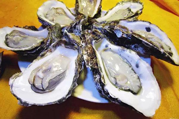 瀕臨生態浩劫!丹麥海岸爬滿生蠔...政府「引進這個後」竟完美解決?台灣福壽螺有救了