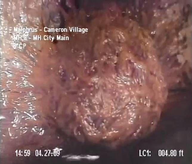 美東遭異型入侵？下水道驚見「血紅色肉團」收縮跳動...影片曝光！網嚇崩潰：引軒然大波