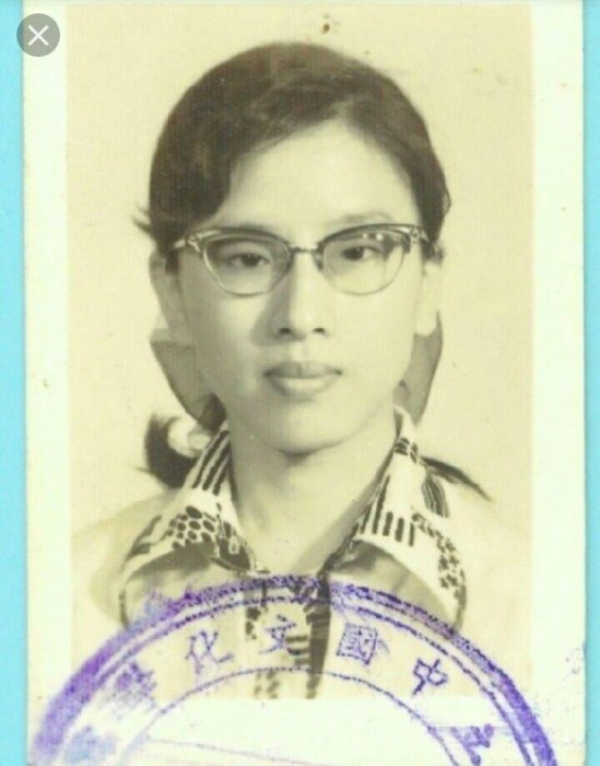 政治人物想燒掉的年輕照！他們當年竟都帥得像校草… 網秒儲存：歲月是殺豬刀(46P)