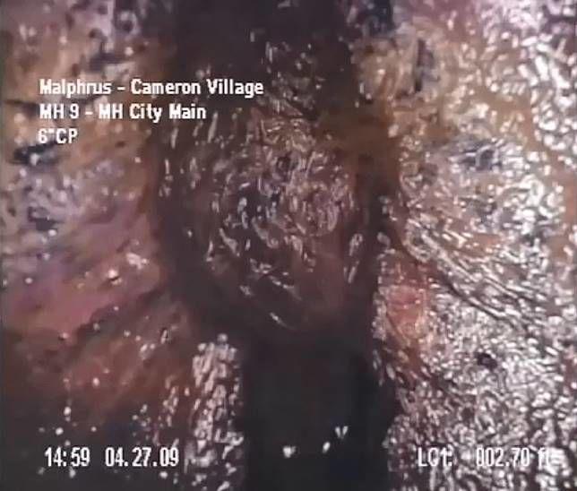 美東遭異型入侵？下水道驚見「血紅色肉團」收縮跳動...影片曝光！網嚇崩潰：引軒然大波