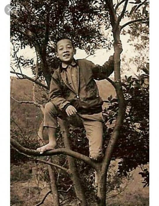 政治人物想燒掉的年輕照！他們當年竟都帥得像校草… 網秒儲存：歲月是殺豬刀(46P)