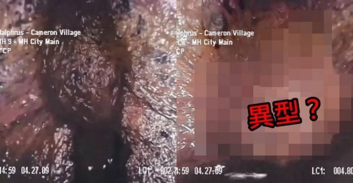 美東遭異型入侵？下水道驚見「血紅色肉團」收縮跳動...影片曝光！網嚇崩潰：引軒然大波