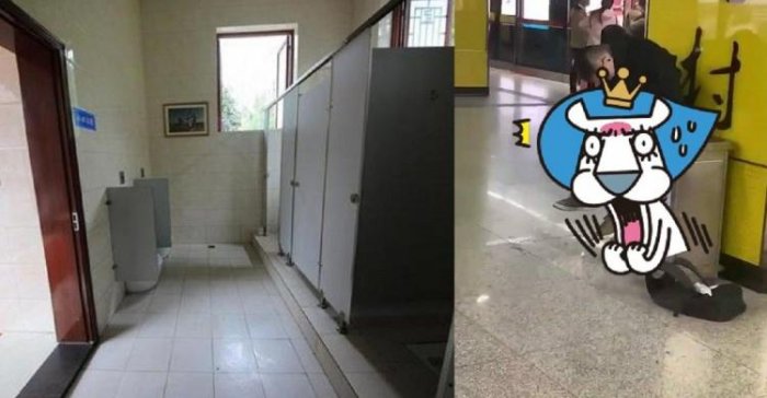 真的受不了了！垃圾桶上驚見「沉睡小五郎」神情超痛苦...網紛紛同情：至少還有理智