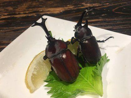 什麼都能吃！日本餐廳「鯨睪丸、甲蟲」超詭異菜色全上桌...網看先吐：這個我不行