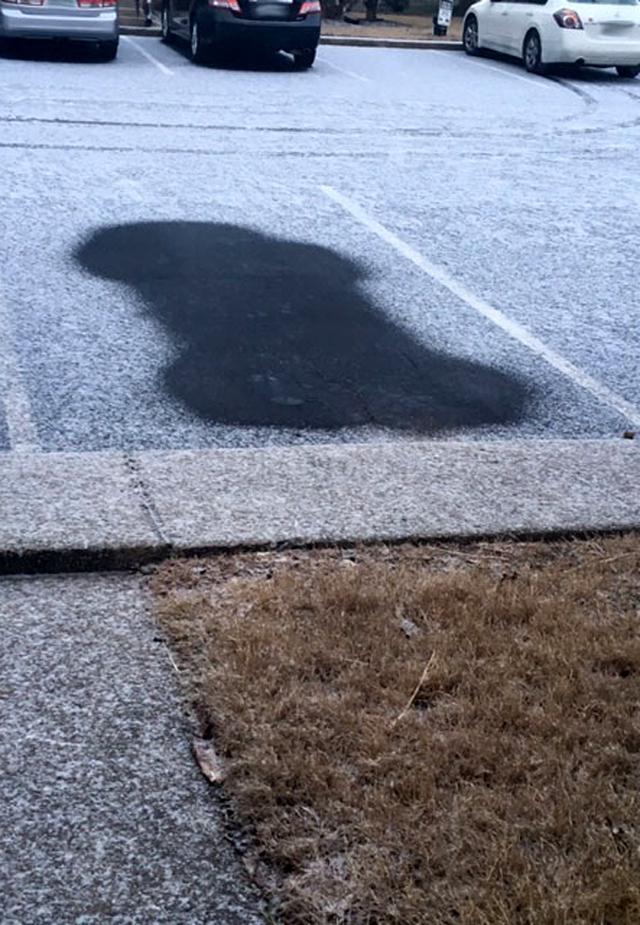 離奇罰款！開車出門留下「超級大鵰」　她收到3100元罰單